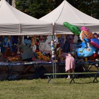 Zobacz w powiększeniu: Dożynki Gminne Baranów 2025 (75)